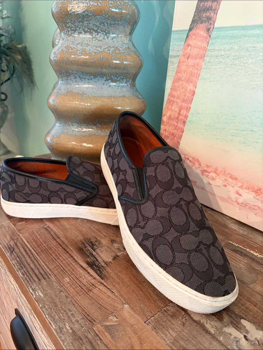 Coach Cameron Men's Signature Slip-On Sneakers in Charcoal and Black